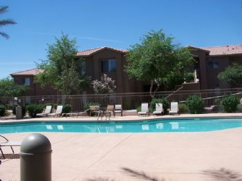 Perplexy profile photo