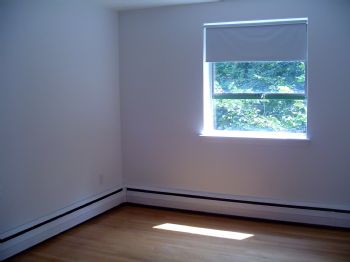 scruise profile photo