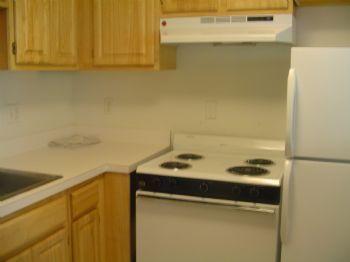 scruise profile photo