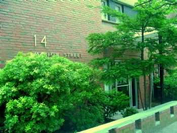 scruise profile photo