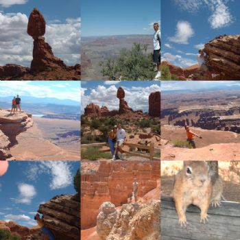 cavilleri profile photo