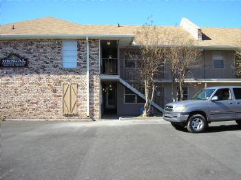 dchamp1 profile photo