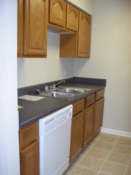 dchamp1 profile photo