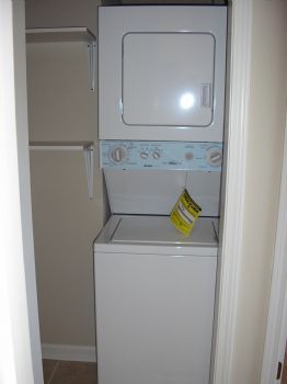 dchamp1 profile photo