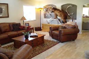 gentaro profile photo