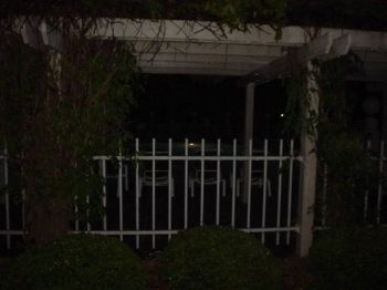 joepat profile photo