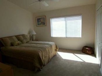 chombita17 profile photo