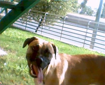 ruthharris60 profile photo