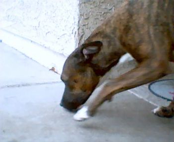 ruthharris60 profile photo