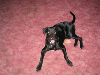 knoll549 profile photo