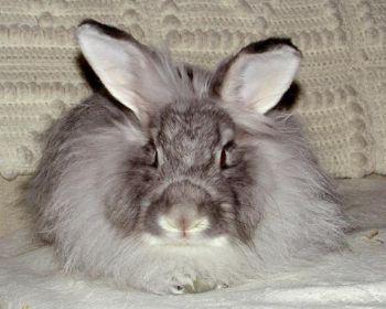 coolhess profile photo