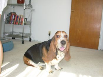 ladybo profile photo