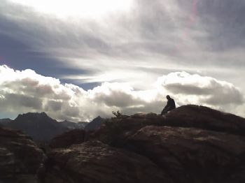 leunamme profile photo