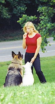 cgal26 profile photo