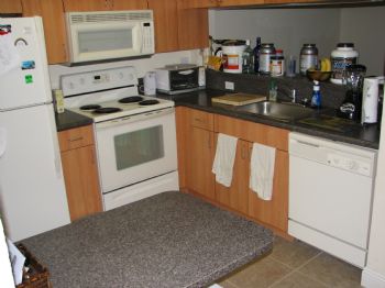 italianguy25 profile photo