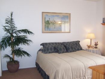 tamtam1 profile photo