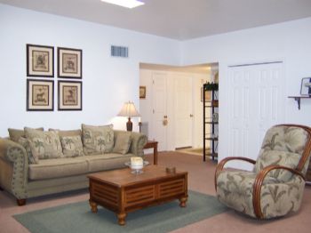 tamtam1 profile photo