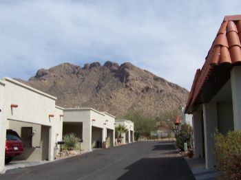 tamtam1 profile photo