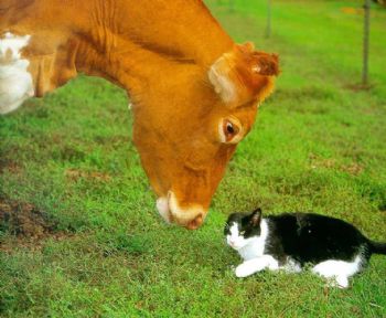 buhlbabe profile photo