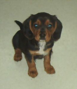 Meggs18au profile photo