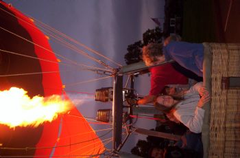 TreeforThree profile photo