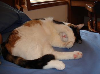 BrennaLynn profile photo