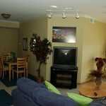 animalsaver profile photo