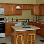 animalsaver profile photo