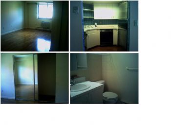 thug4luv profile photo