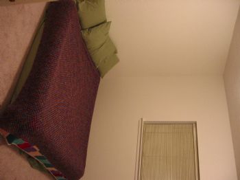 pballurio profile photo