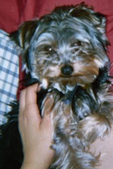 socalgal04 profile photo