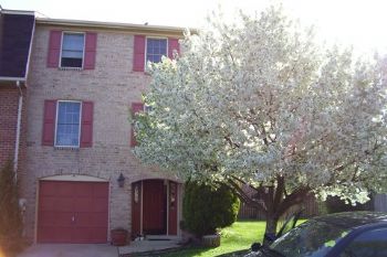 tbfoster21 profile photo