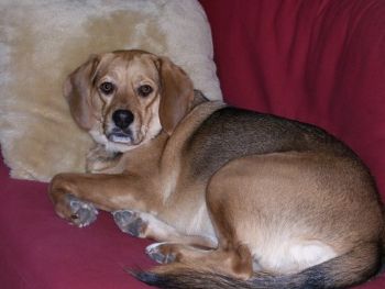 tbfoster21 profile photo