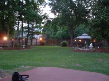 ckdcarman profile photo