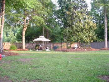 ckdcarman profile photo