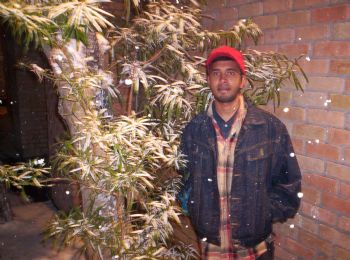 maddvn profile photo