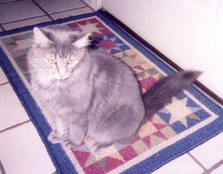 BRPAINTER profile photo