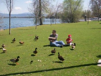 steel77 profile photo