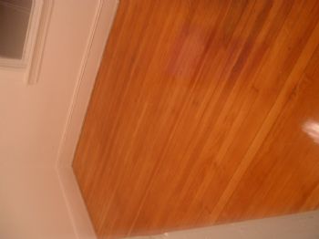 sudhey920 profile photo