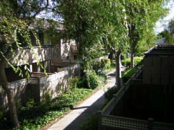 rooommate profile photo