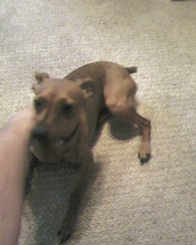 dia_dc profile photo