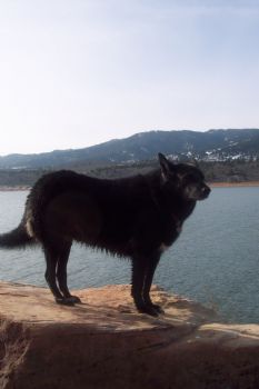 gw1067 profile photo