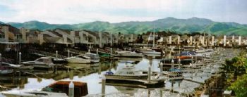 hollyb48 profile photo