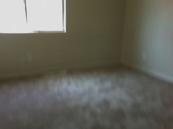 mslizflores profile photo