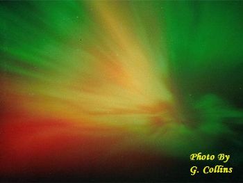 goldeagle56 profile photo