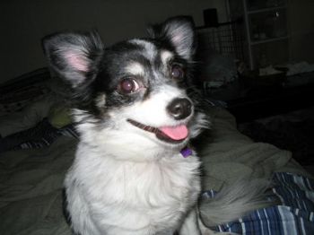 shill_cme profile photo