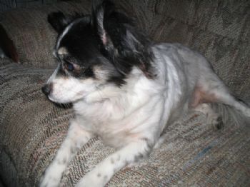 shill_cme profile photo