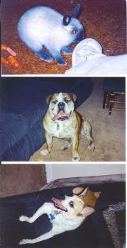 zoenuts profile photo