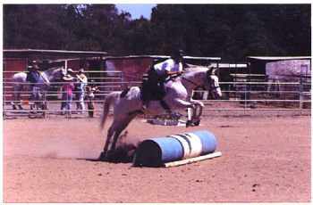 equitonic profile photo