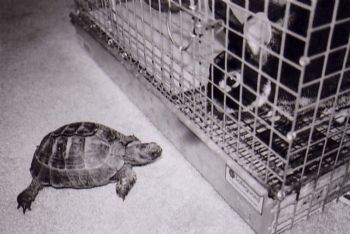 sherry80 profile photo